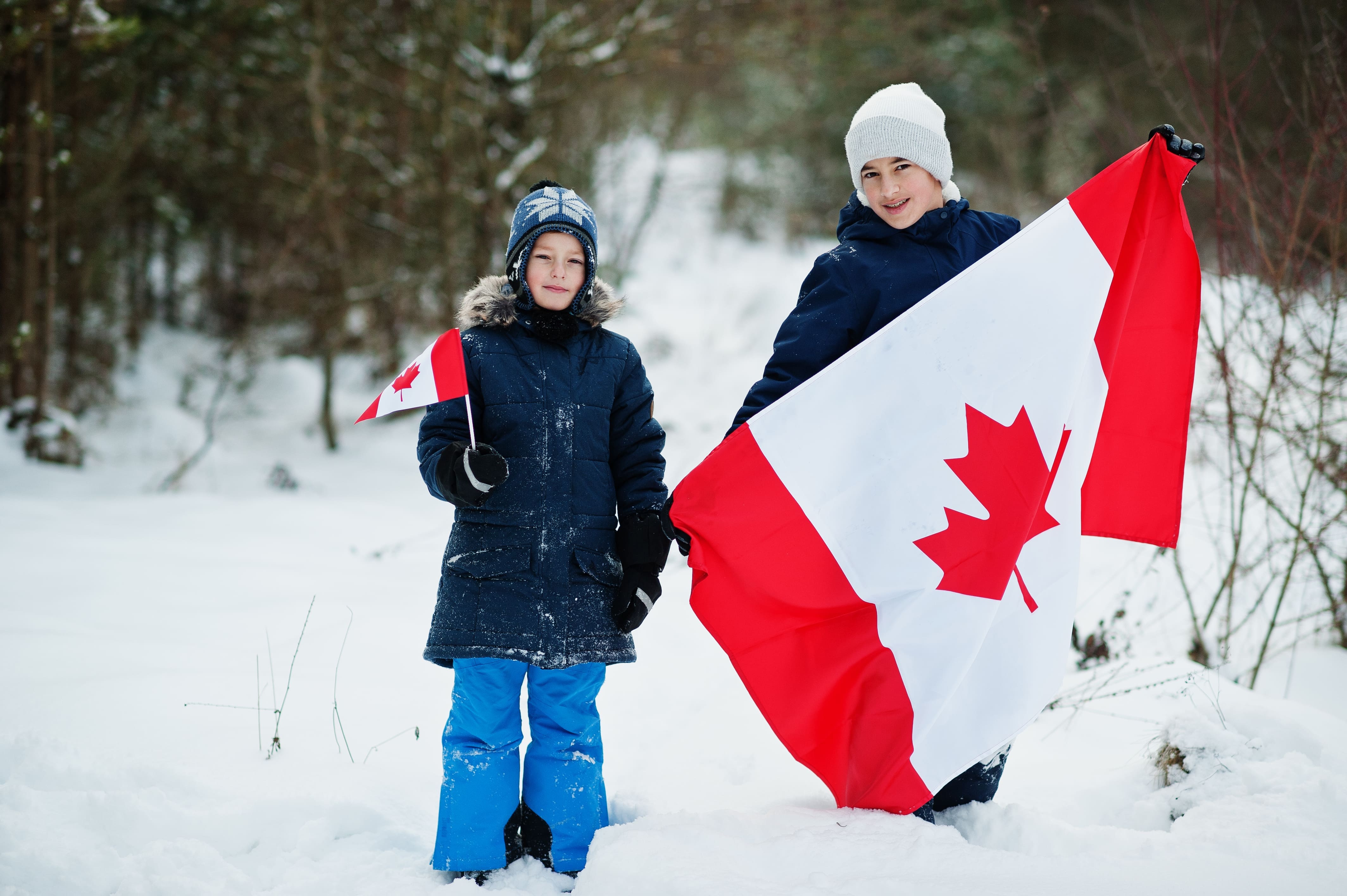 Démographie du Canada